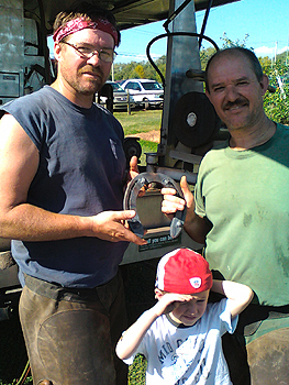 Teamwork to shoe a draft horse